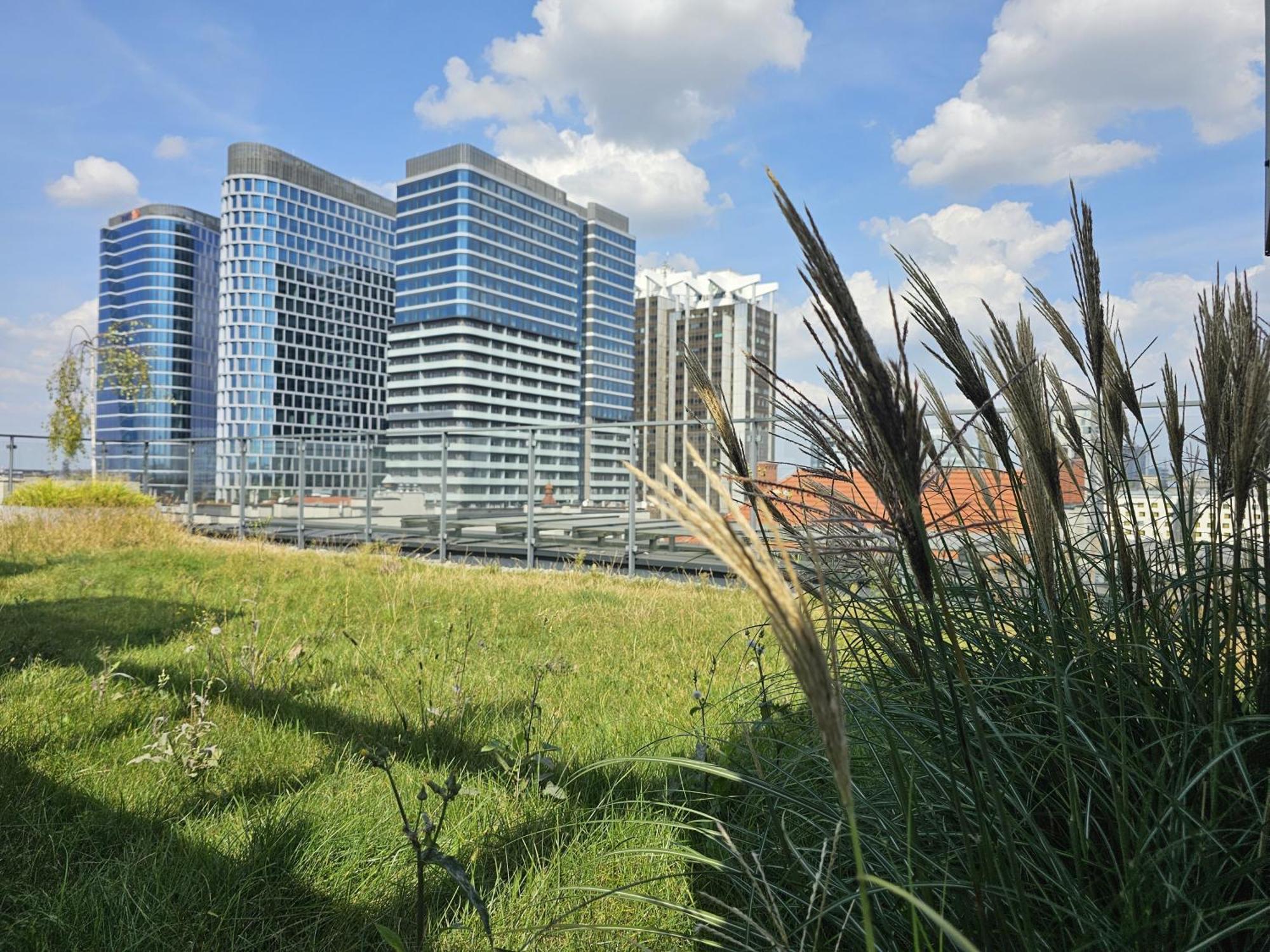 Urban Apartments Luxury Opolska 10 No 29, Free Garage, Self Check-In Katowice Exterior foto
